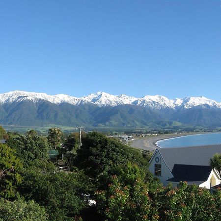 Dolphin Lodge Kaikoura Zewnętrze zdjęcie