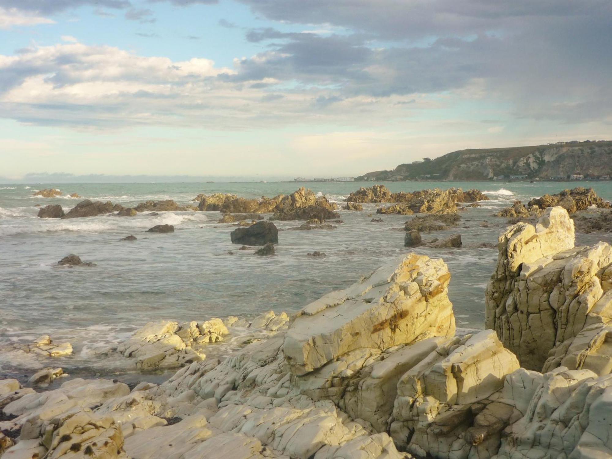 Dolphin Lodge Kaikoura Zewnętrze zdjęcie