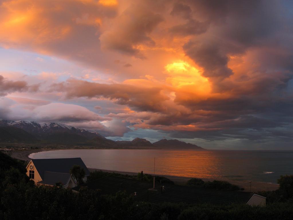 Dolphin Lodge Kaikoura Zewnętrze zdjęcie